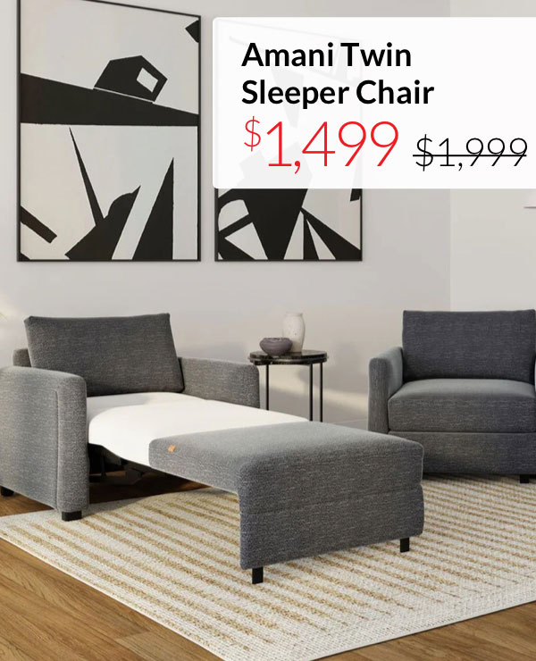 Amani Twin Sleeper Chair