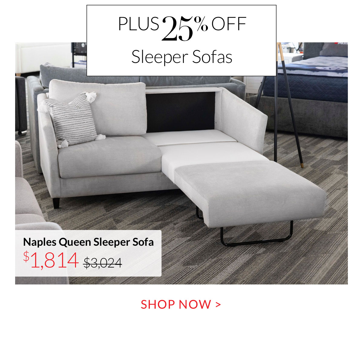 Plus 25% off Sleeper Sofas