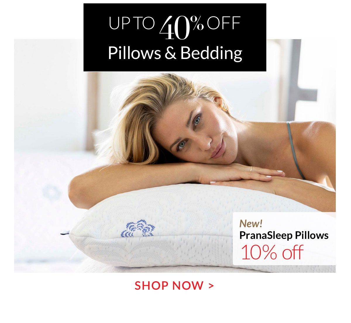 Up to 40% Pillows and Bedding