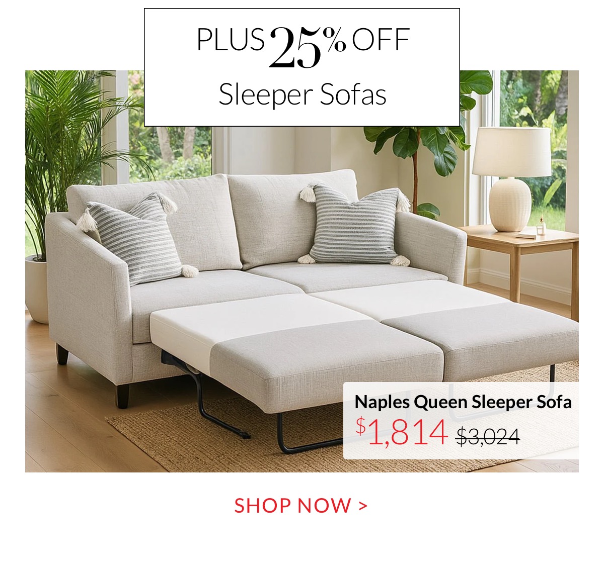 Plus 25% off Sleeper Sofas