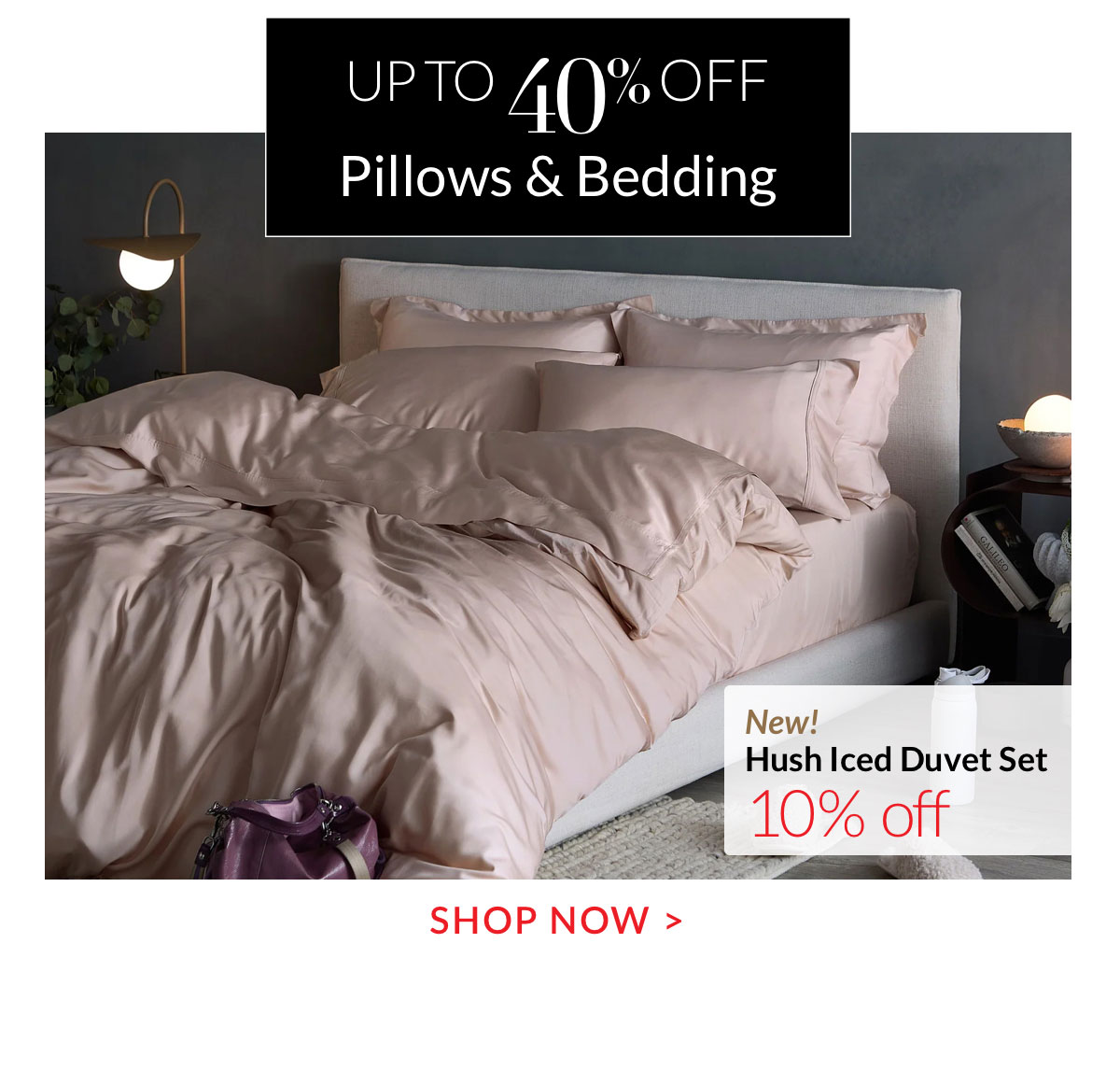 Up to 40% Pillows and Bedding