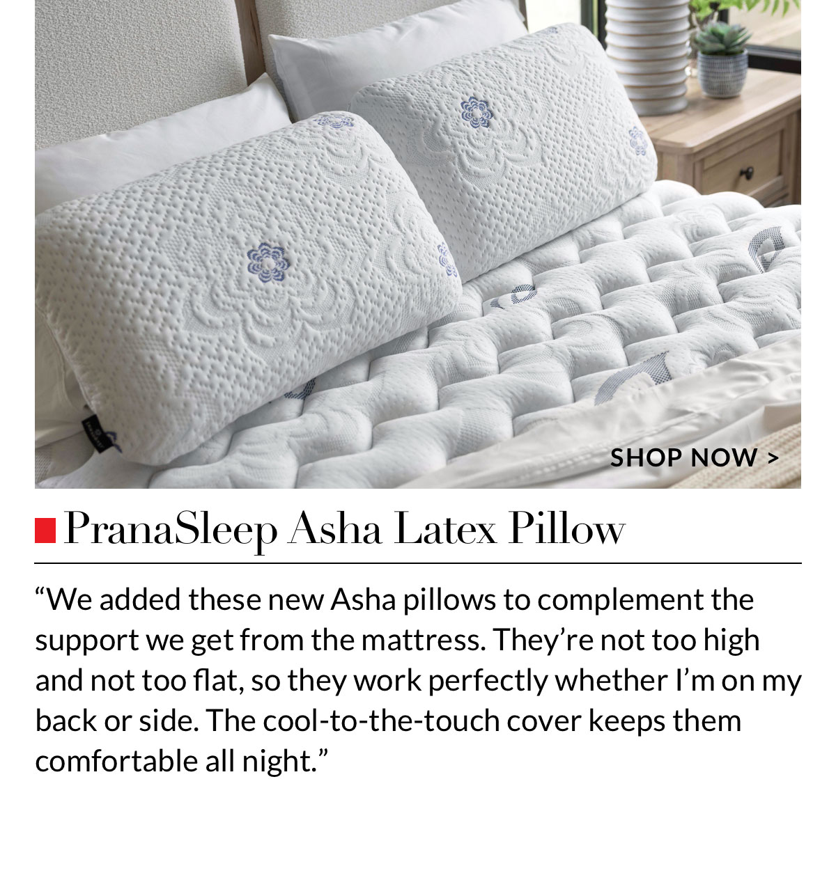 PranaSleep Asha Latex Pillow PranaSleep Asha Latex Pillow