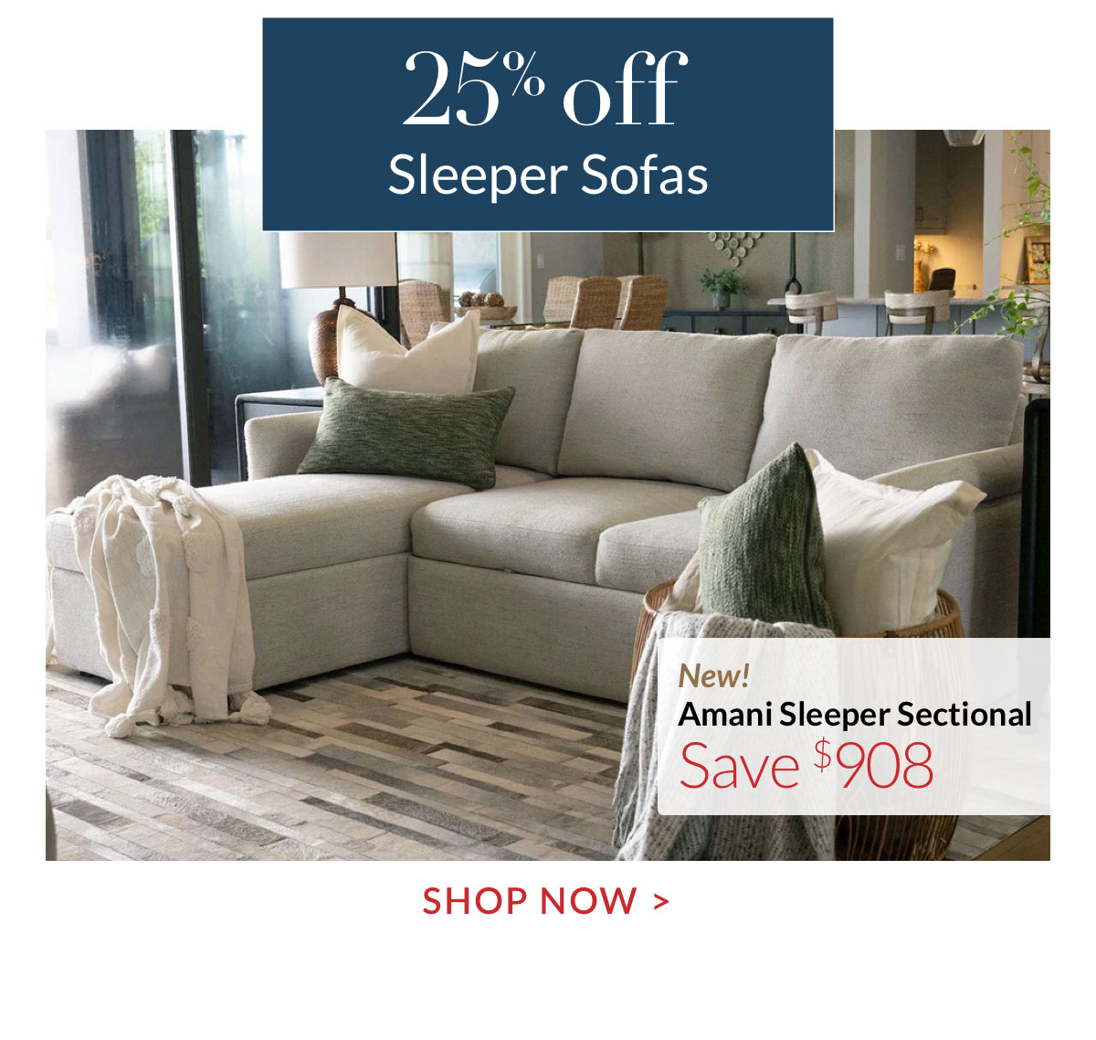 25% off Sleeper Sofas