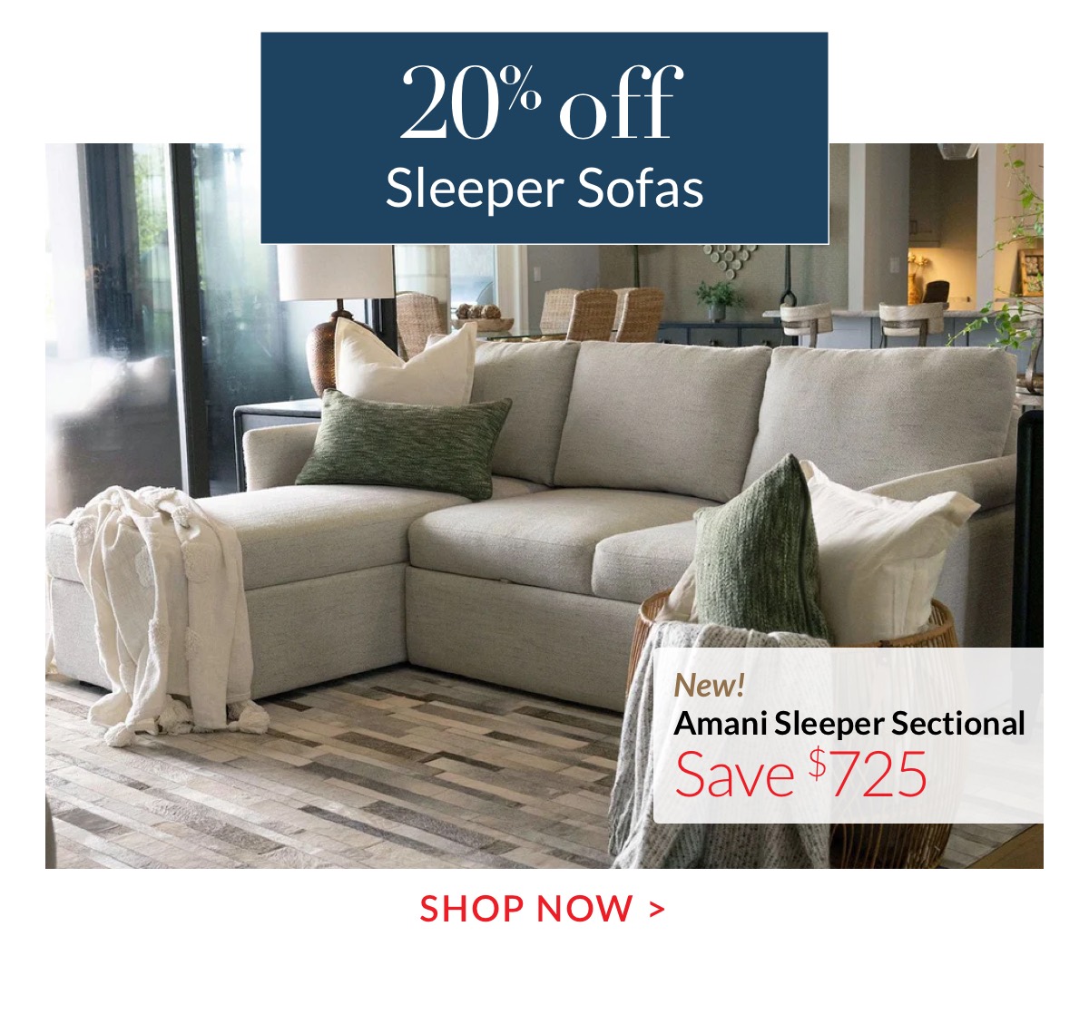20% off Sleeper Sofas