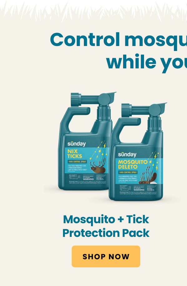 Fight ticks without synthetic pesticides - Sunday Lawn Care