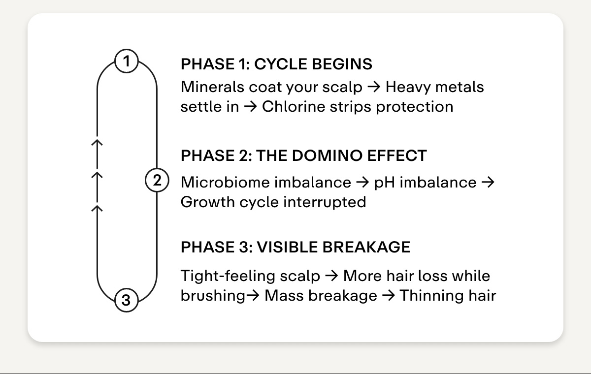 PHASE 1: The cycle begins. Minerals coat your scalp → Heavy metals settle in → Chlorine strips protection  PHASE 2: The domino effect. Microbiome imbalance → pH imbalance → Growth cycle interrupted  PHASE 3: Visible breakage. Tight-feeling scalp → More hair loss while brushing→ Mass breakage → Thinning hair