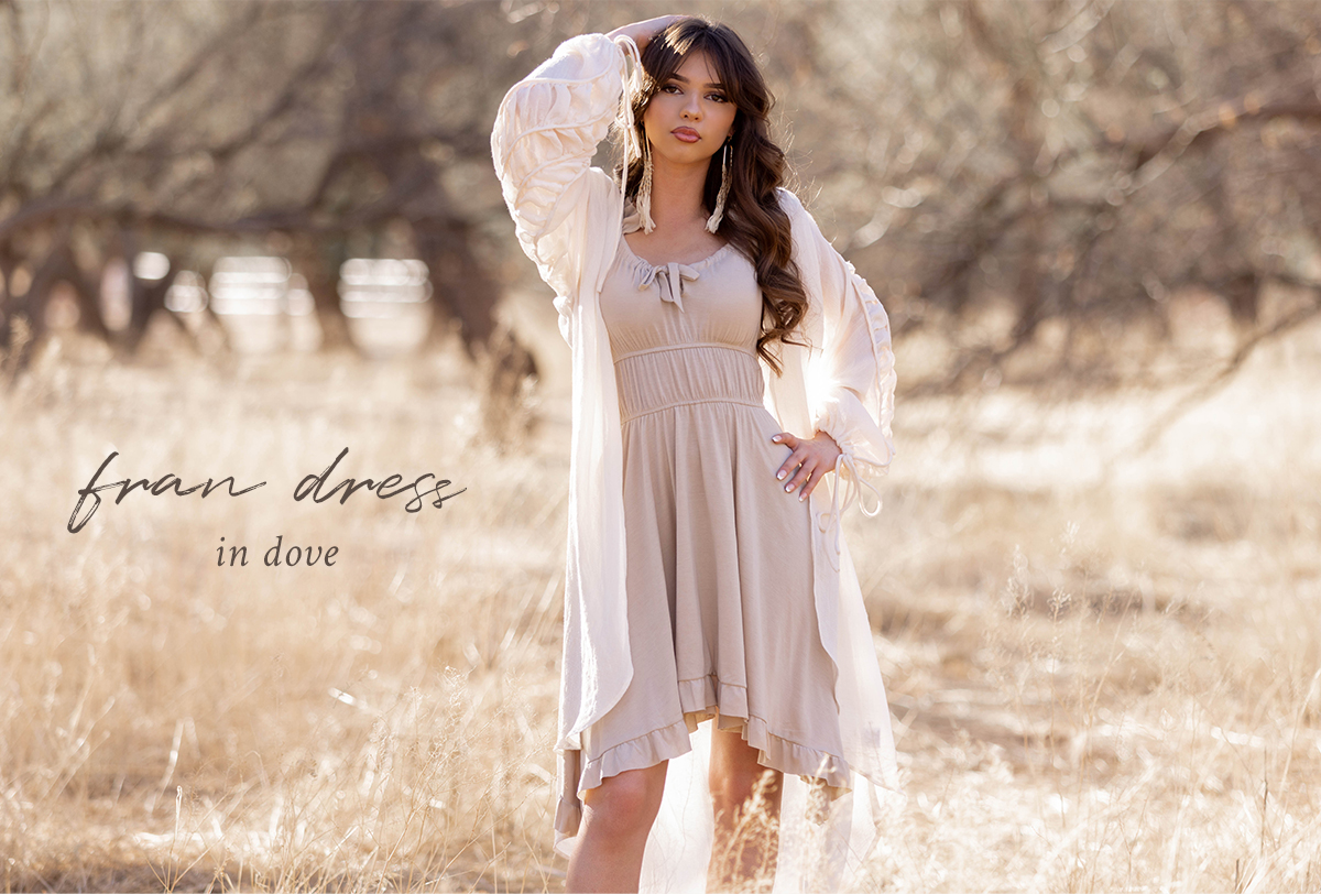 Shop the Fran Dress in dove grey