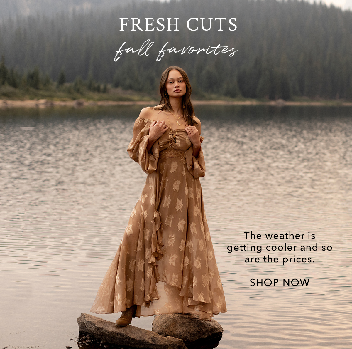 Shop Fresh Cuts
