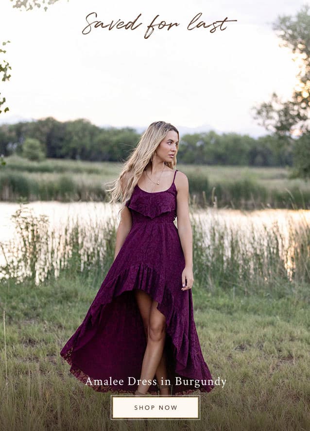 Amalee Dress in Burgundy