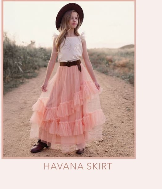 Havana Skirt in Pink