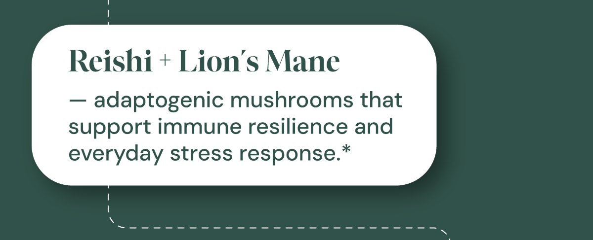 Reishi + Lion's Mane