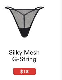 Silky Mesh G-Sting