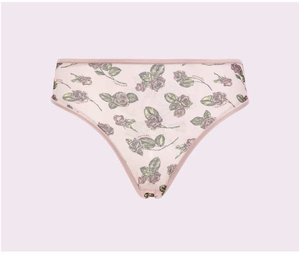 Silky Mesh High Rise Cheeky