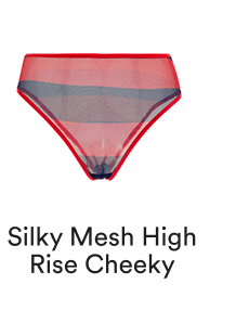 Silky Mesh High Rise Cheeky