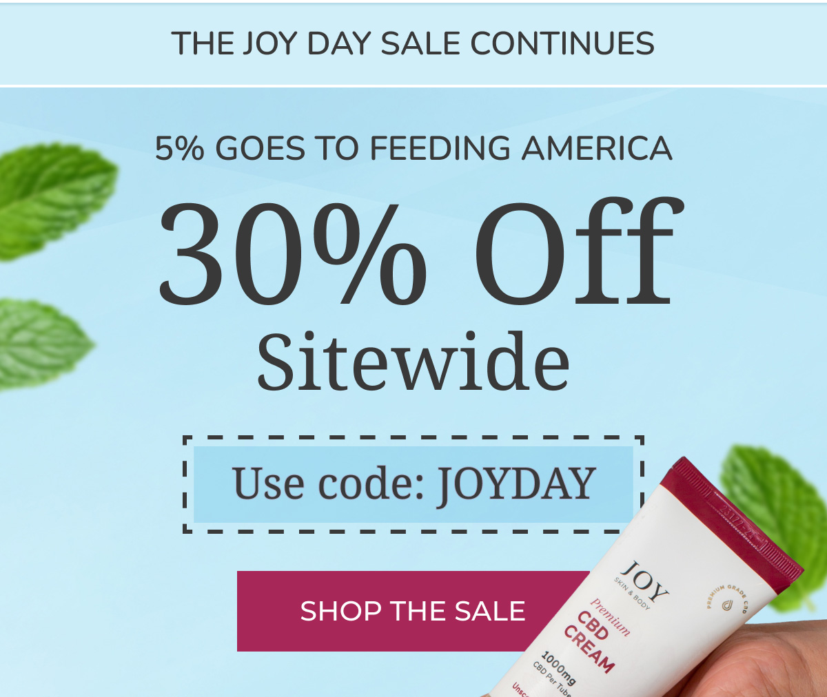 The Joy Day Sale Continues: Shop 30% Off Sitewide 