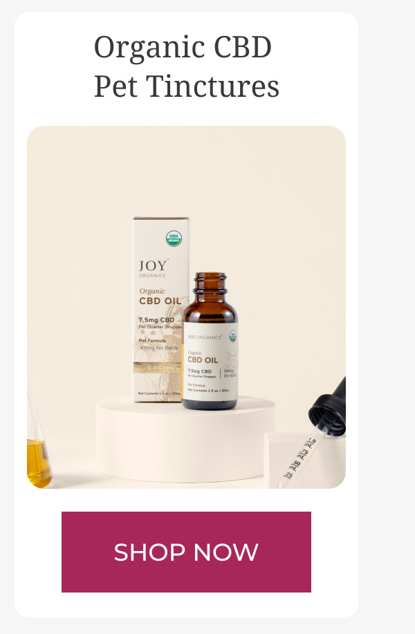 Organic CBD Pet Tinctures
