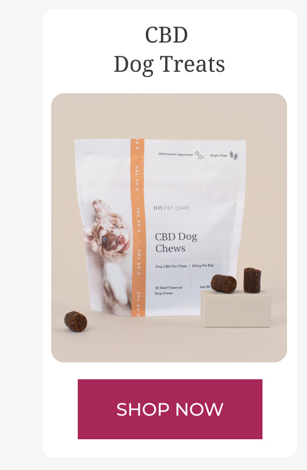 CBD Dog Treats