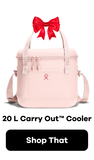 20 L Carry Out ™ Cooler | Shop That
