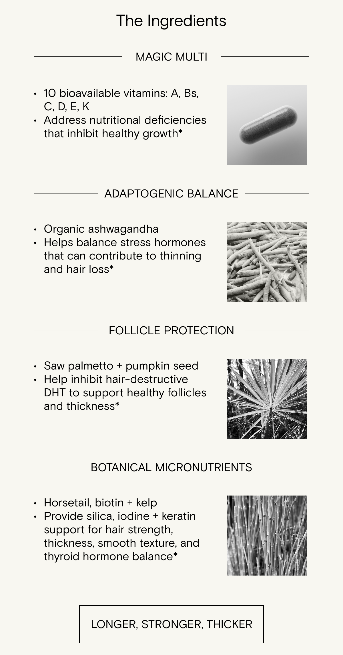 The ingredients that make up our magical multivitamin