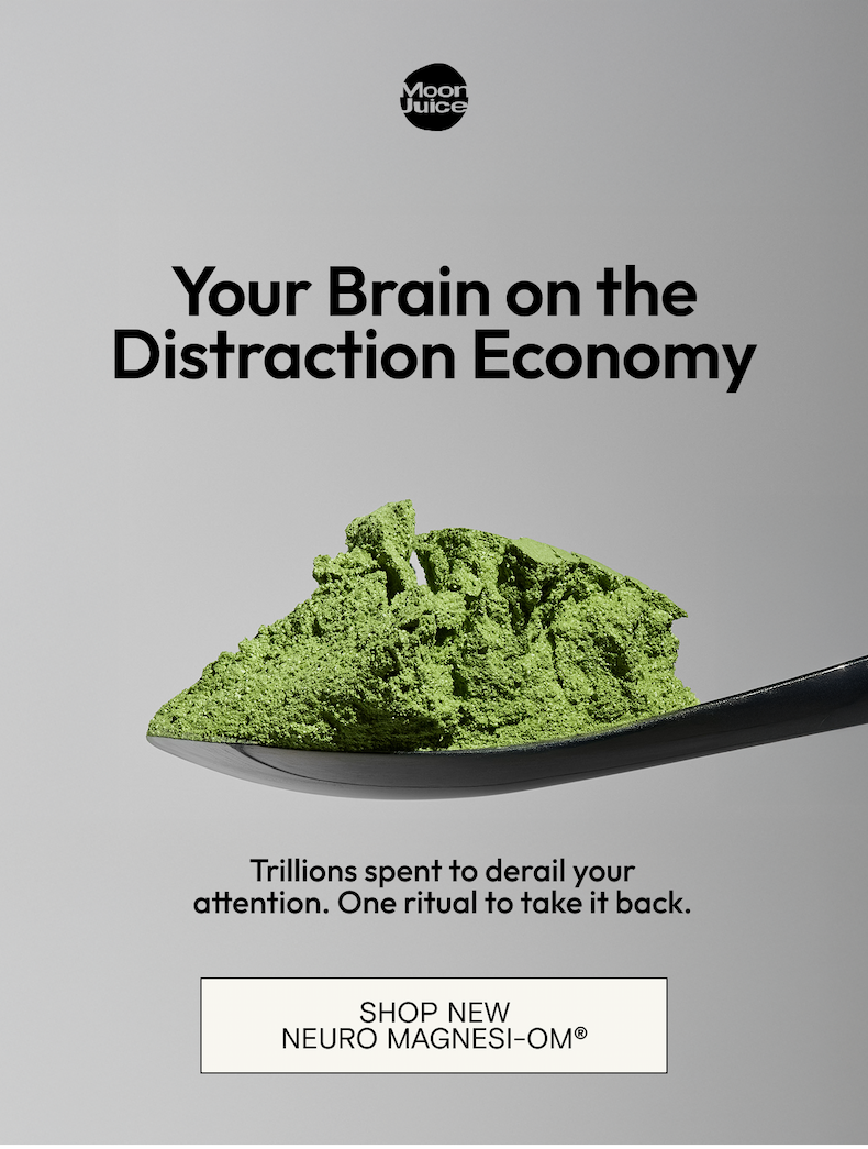 Your brain on the Distraction Economy 