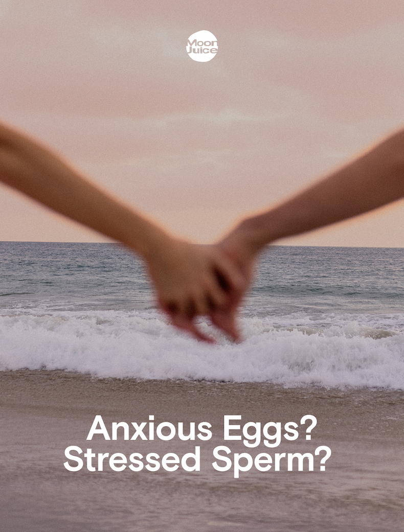 Anxious Eggs? Stressed Sperm?