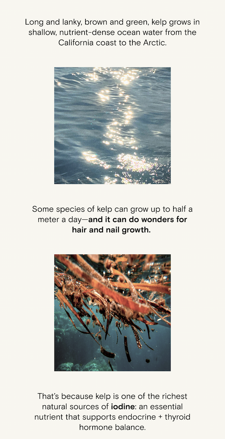 Kelp can do wonders for hair and nail growth