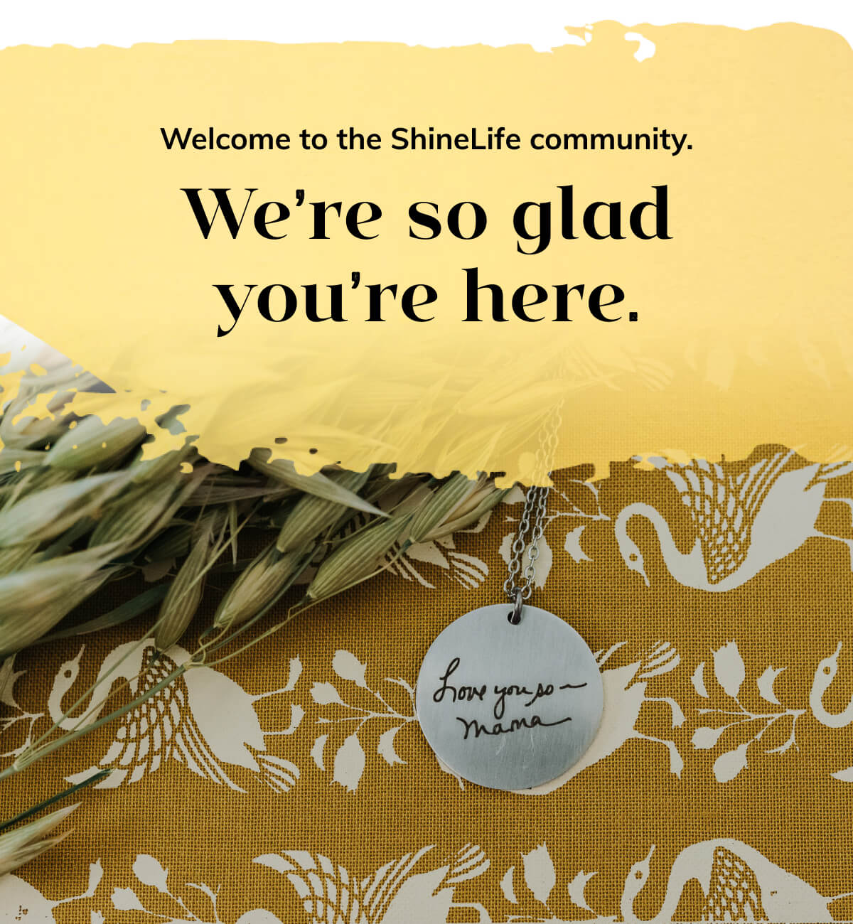 were so glad youre here