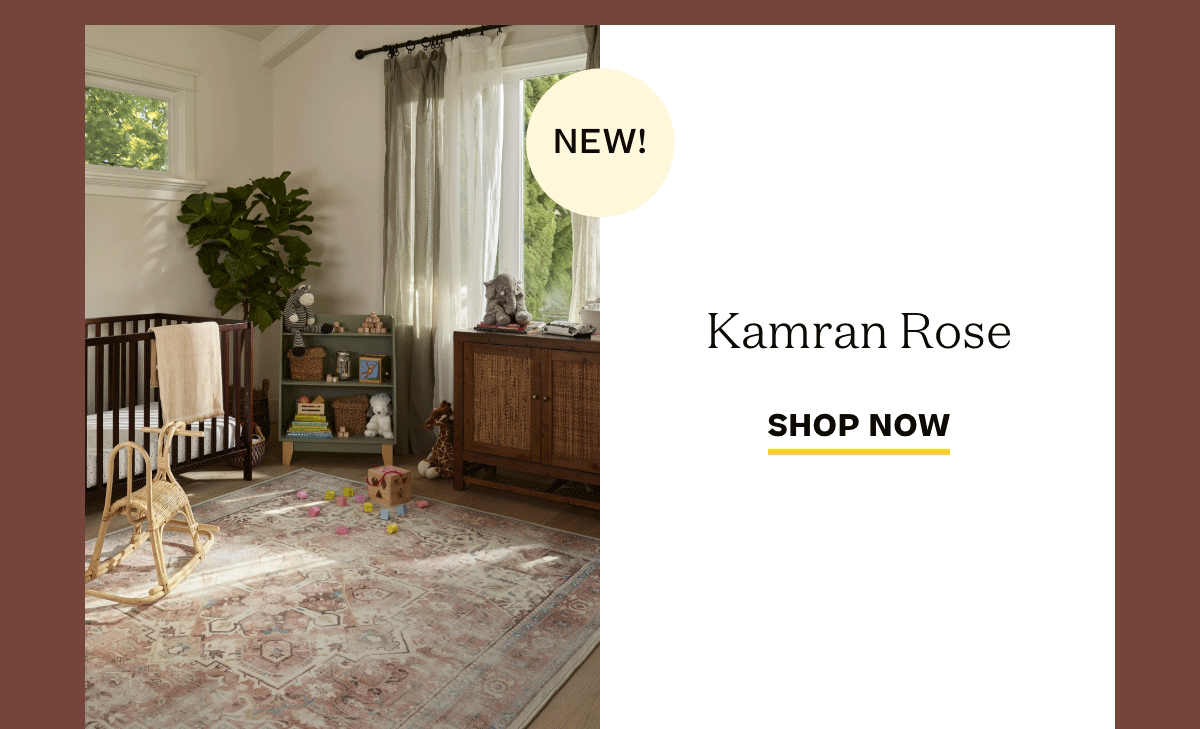 Get To Know Kamran Ruggable