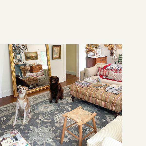 Cambria Abalone Rug | Save Now
