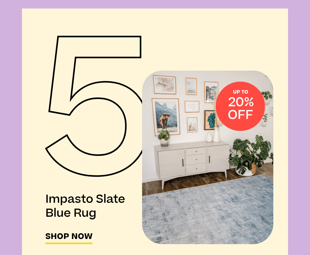 Have You Met Our Top 5 Rugs? Ruggable