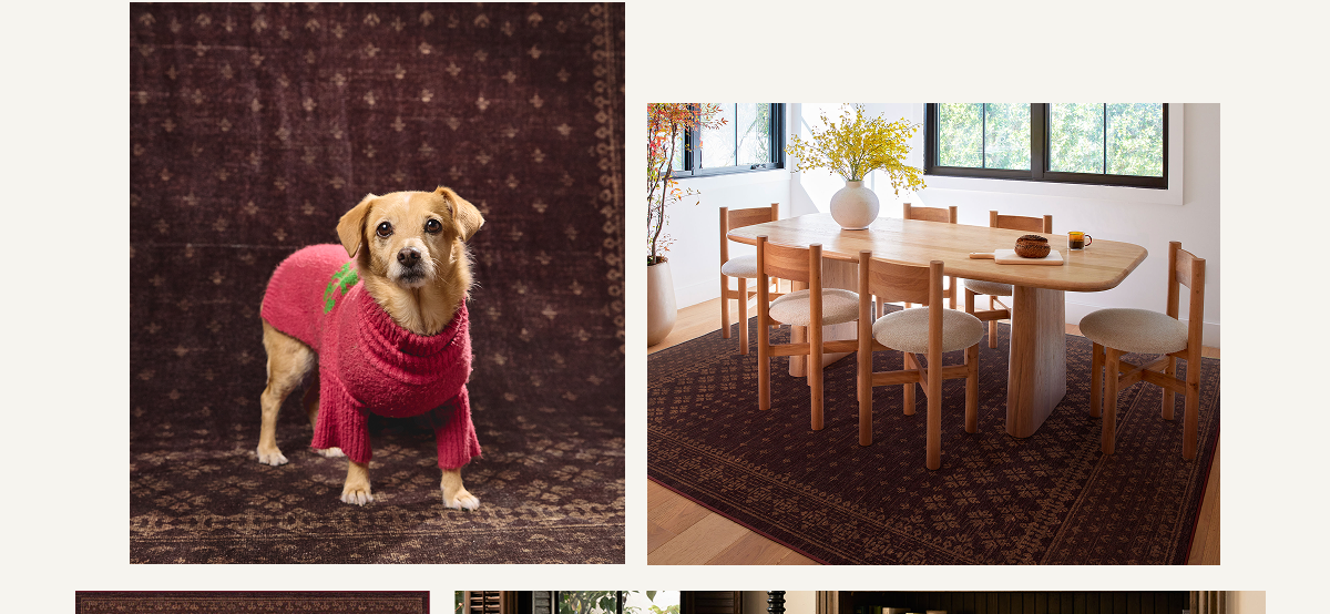Fernanda Burgundy Rug | Save Now 