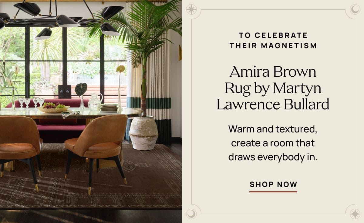 Amira Brown Rug 