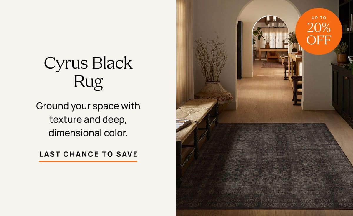 Cyrus Black Rug | Last Chance To Save 