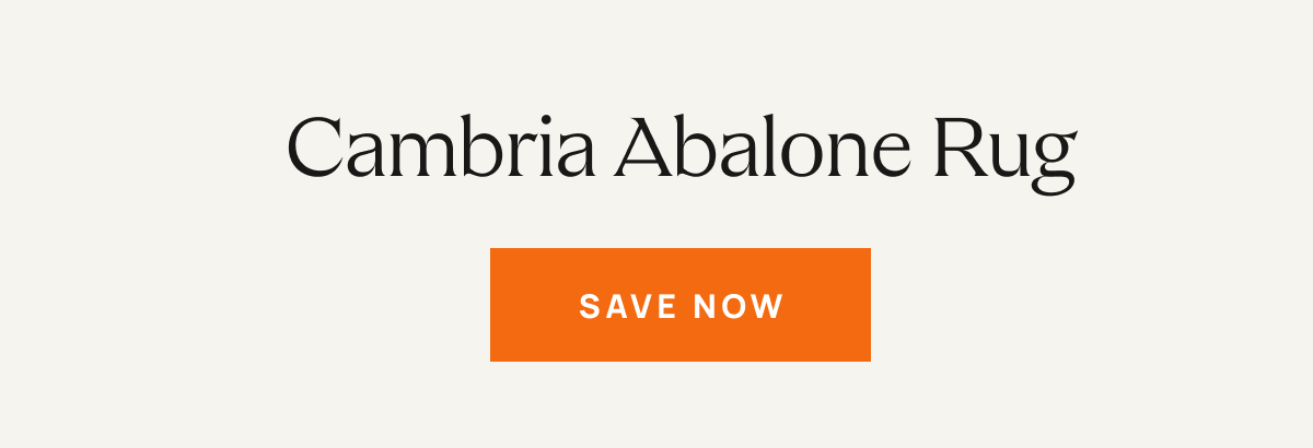 Cambria Abalone Rug | Save Now
