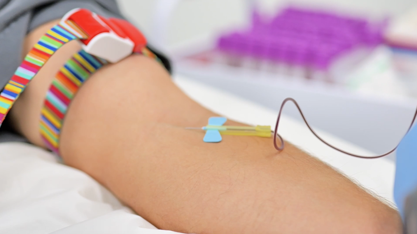 A blood sample being taken during an Arepa sarmentosin study