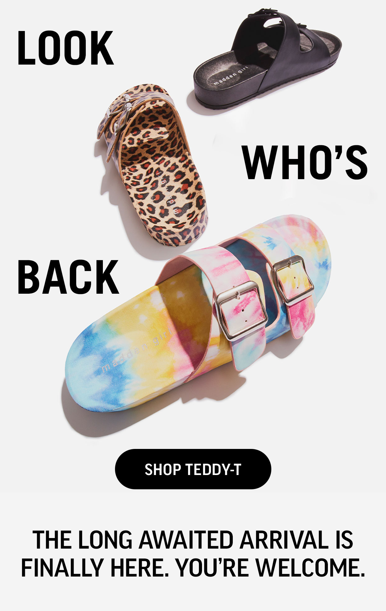 Shop TEDDY
