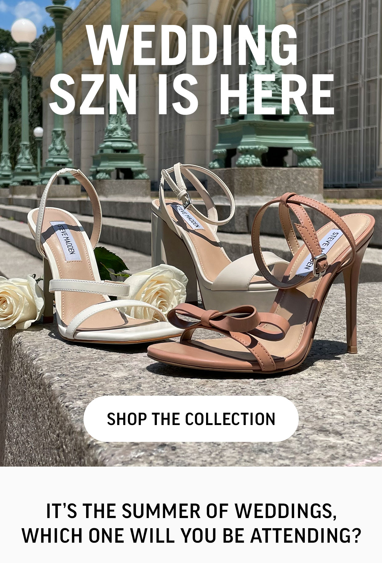 Shop Wedding