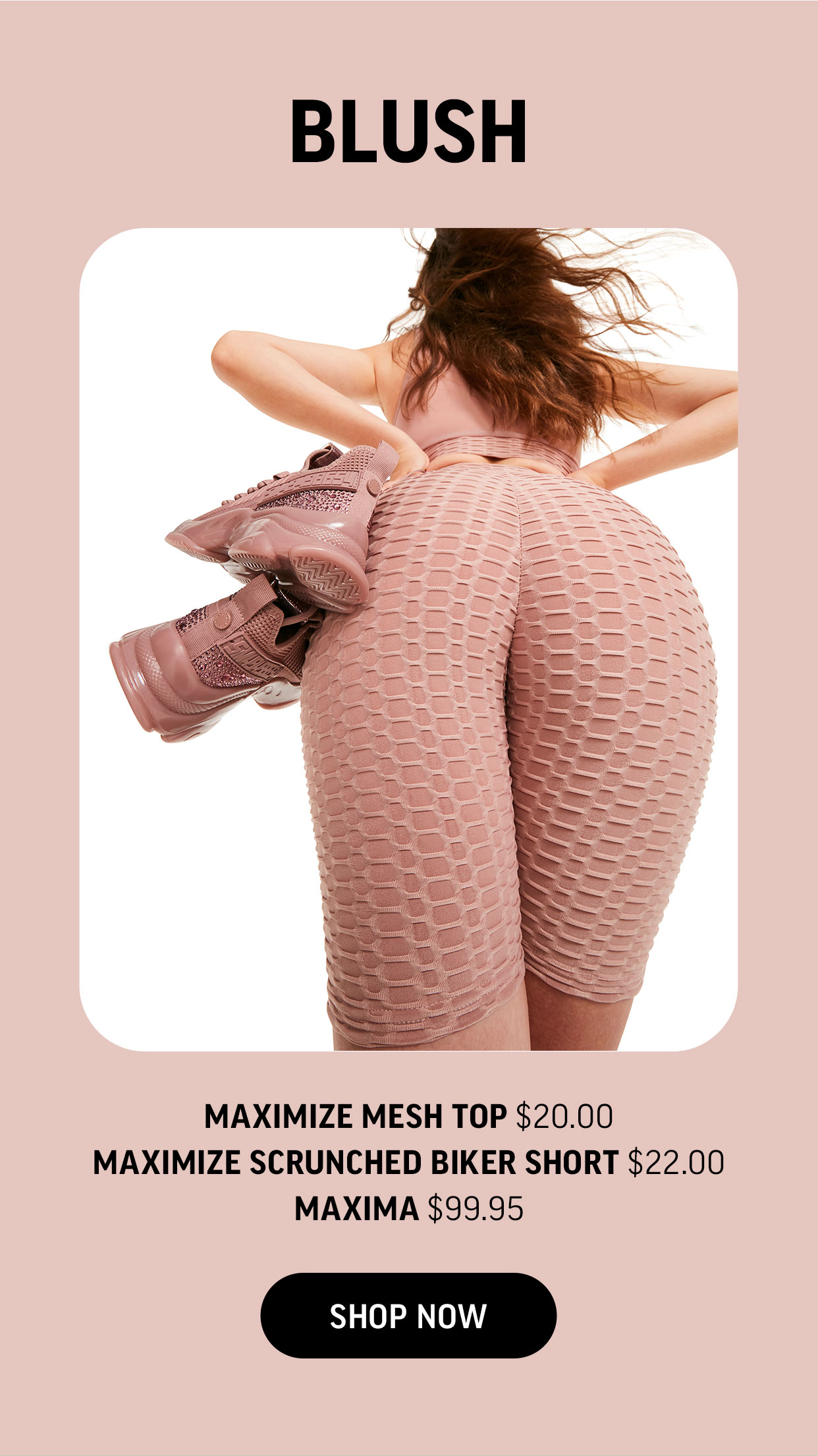 The Maximize Collection