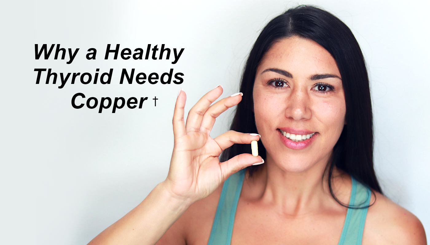 A healthy thyroid needs copper... Here's why! Biowarrior Nutrition