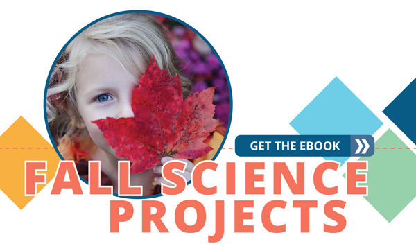 Science projects for Fall