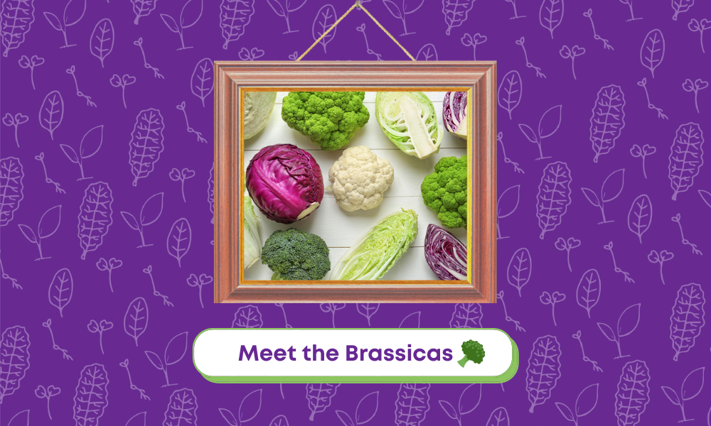 Meet the Brassicas! 👨‍👩‍👧‍👦 Hamama