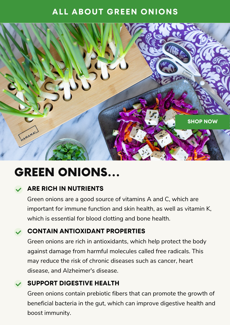 🌱 The versatile vegetable you need in your kitchen! 👩‍🍳 Hamama