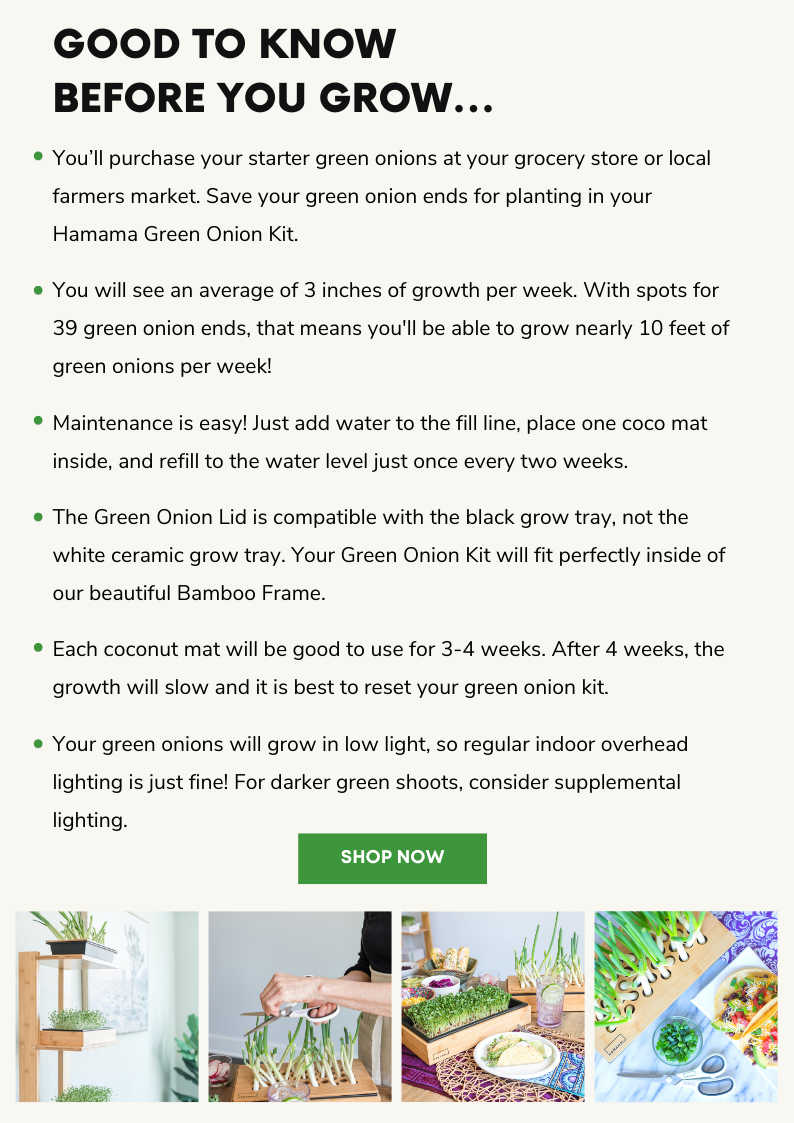 🌱 The versatile vegetable you need in your kitchen! 👩‍🍳 Hamama