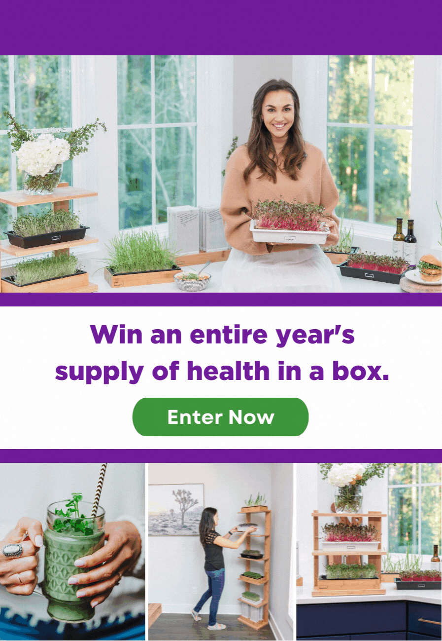 We're giving you an entire year's supply of microgreens! 🎉 Hamama