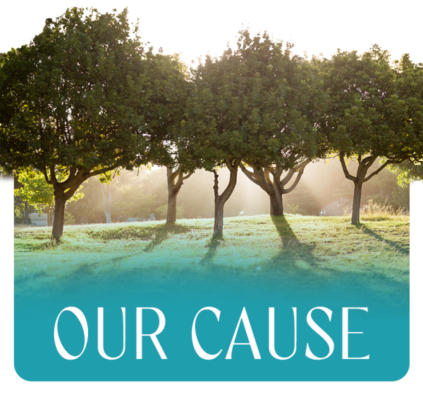 Our Cause: