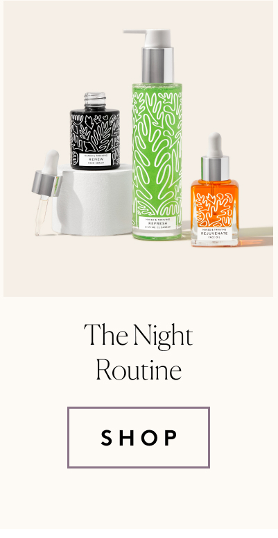 The Night Routine
