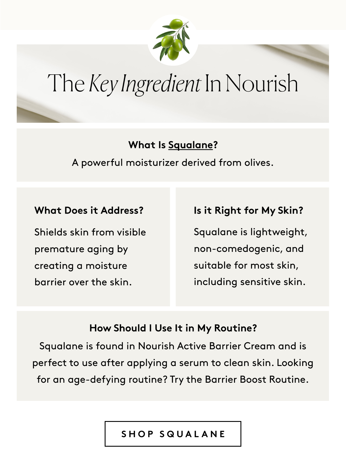 The Key Ingredient In Nourish