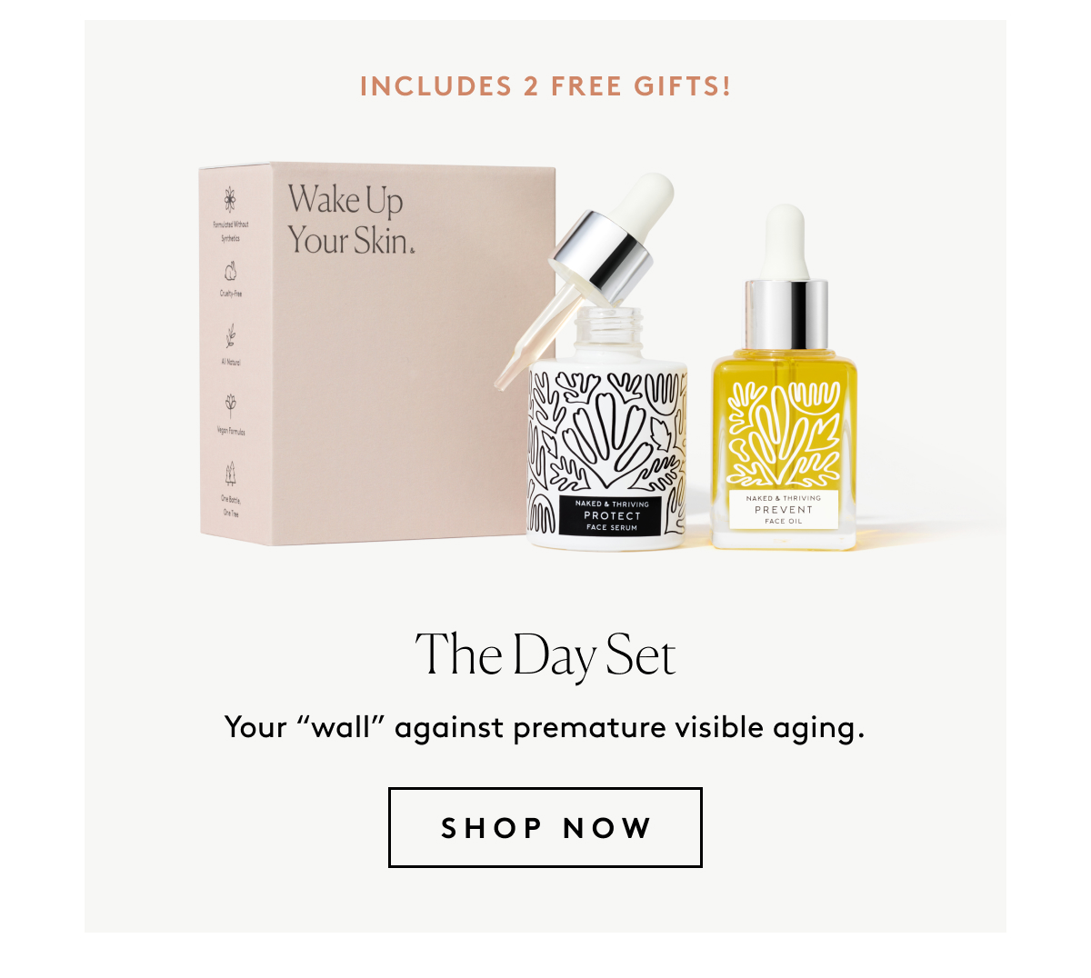 The Day Set