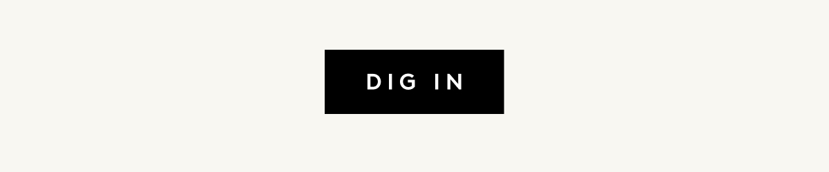 DIG IN