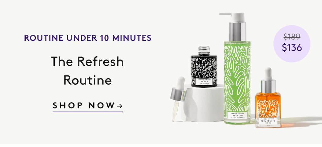 The Refresh Routine